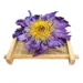 Blue Lotus Dried Flowers Organic