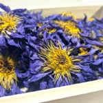 Blue Lotus Dried Flowers