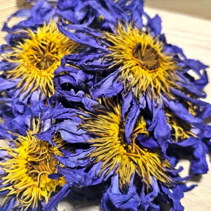 Blue Lotus Dried Flowers
