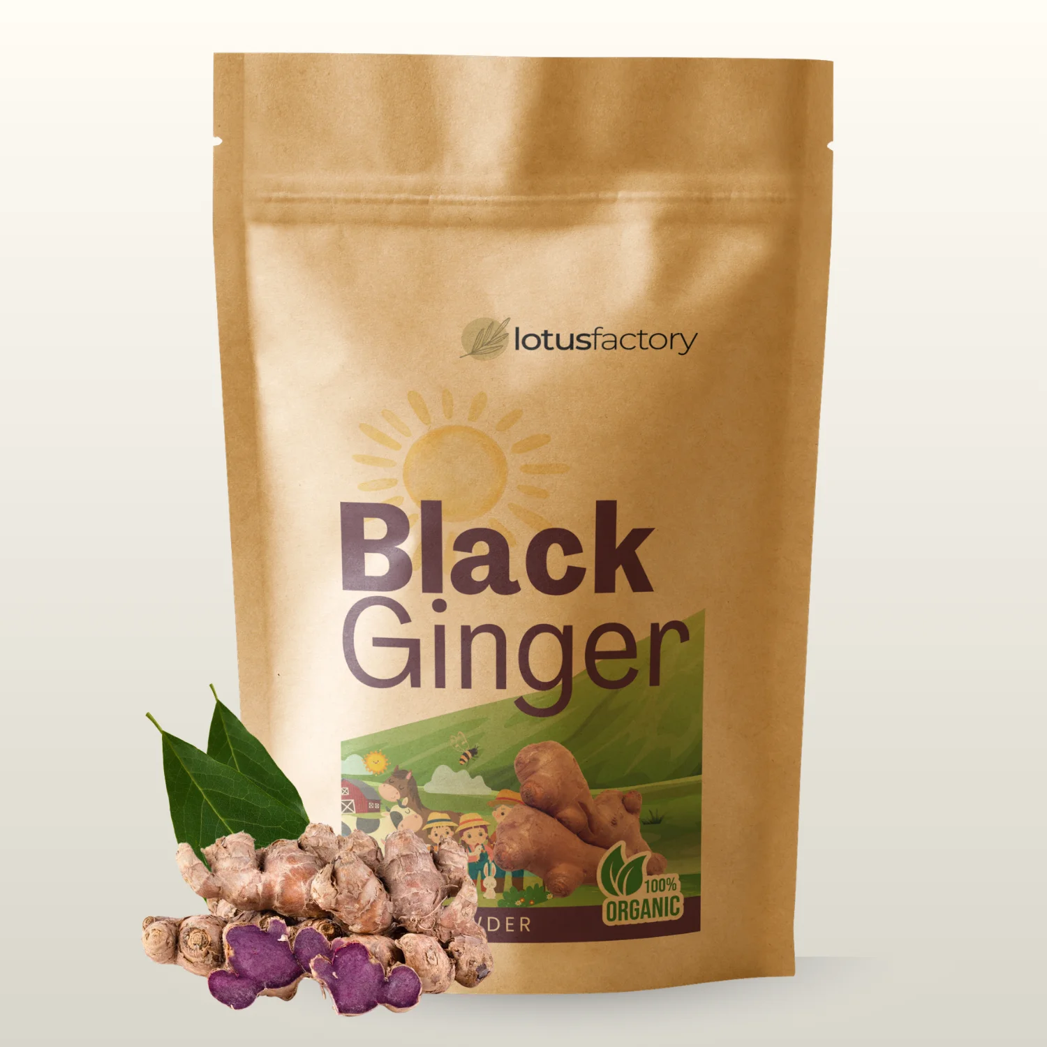 Black Ginger Powder
