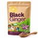 Black Ginger Powder