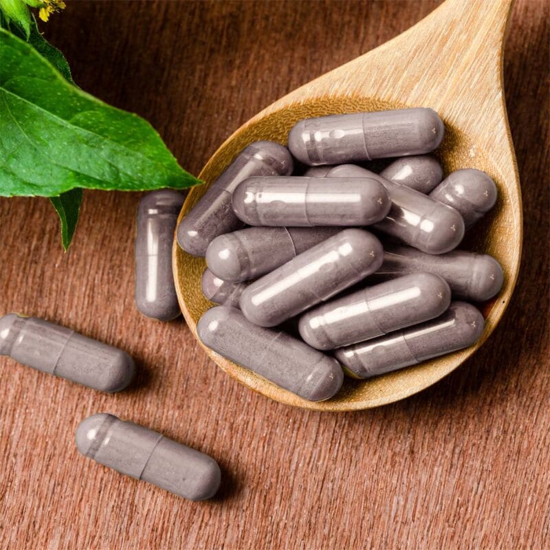 Organic Black Ginger Powder Capsules