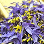 Blue Lotus Petals & Stamen