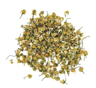 Chamomile Dried Buds (Matricaria chamomilla)