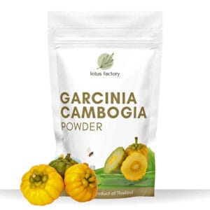 Garcinia cambogia Powder