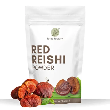 Red Reishi Powder