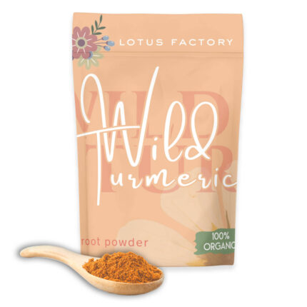 Organic Wild Turmeric Root Powder