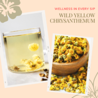 Wild Chrysanthemum Tea Organic
