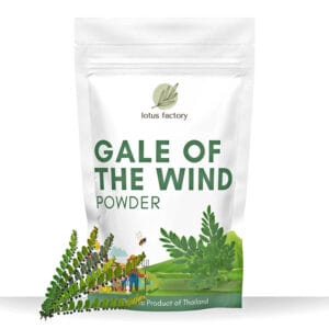 Gale of the Wind Powder