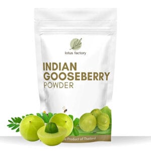 Indian Gooseberry Powder
