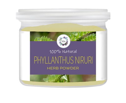Phyllanthus niruri (Stonebreaker) Herb Powder