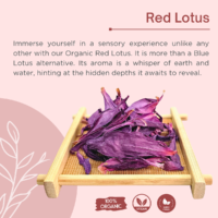 Red Lotus Crushed Flowers