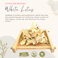 White Lotus Petals Organic