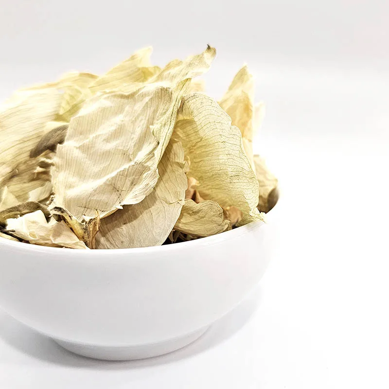 White Lotus Flower Petals