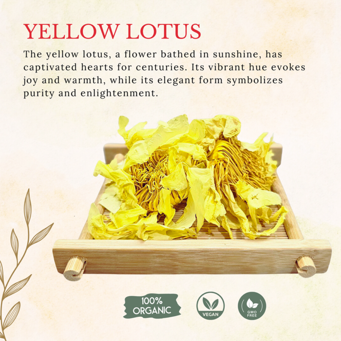 Yellow Lotus Dried Flowers Organic