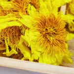 Yellow Lotus Dried Flowers