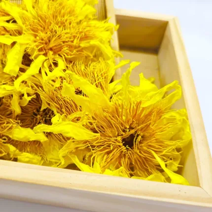 Yellow Lotus Dried Flowers
