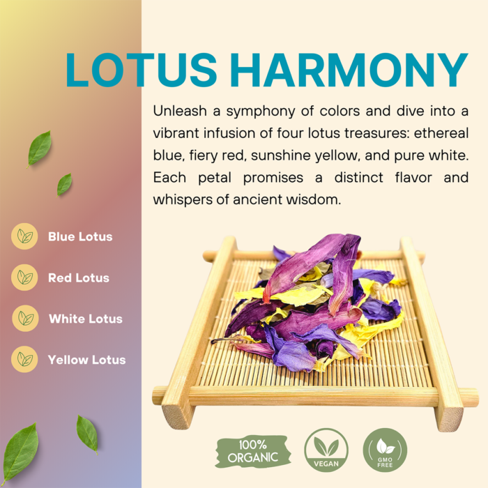 LOTUS HARMONY (4 Lotus Blend)