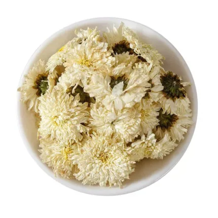 White Chrysanthemum Tea