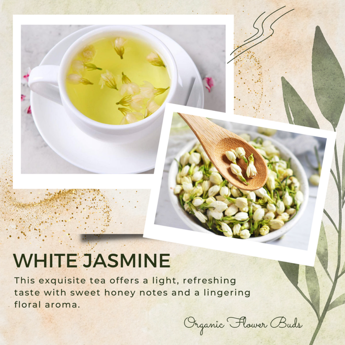 Organic White Jasmine Tea Buds