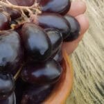 African Dream Herb Powder