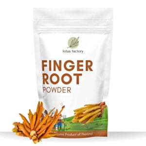Fingerroot Powder