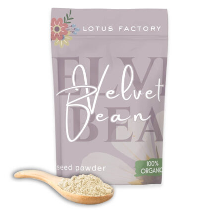 Organic Velvet Bean Seed Powder