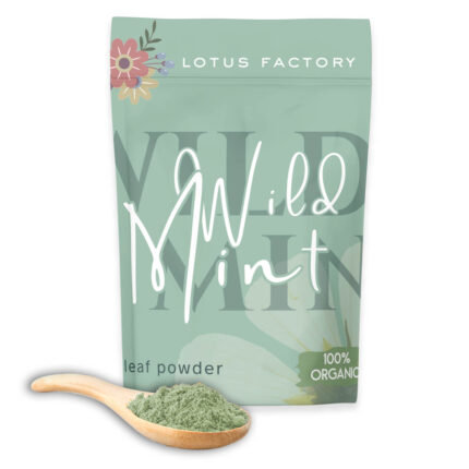Organic Wild Mint Leaf Powder