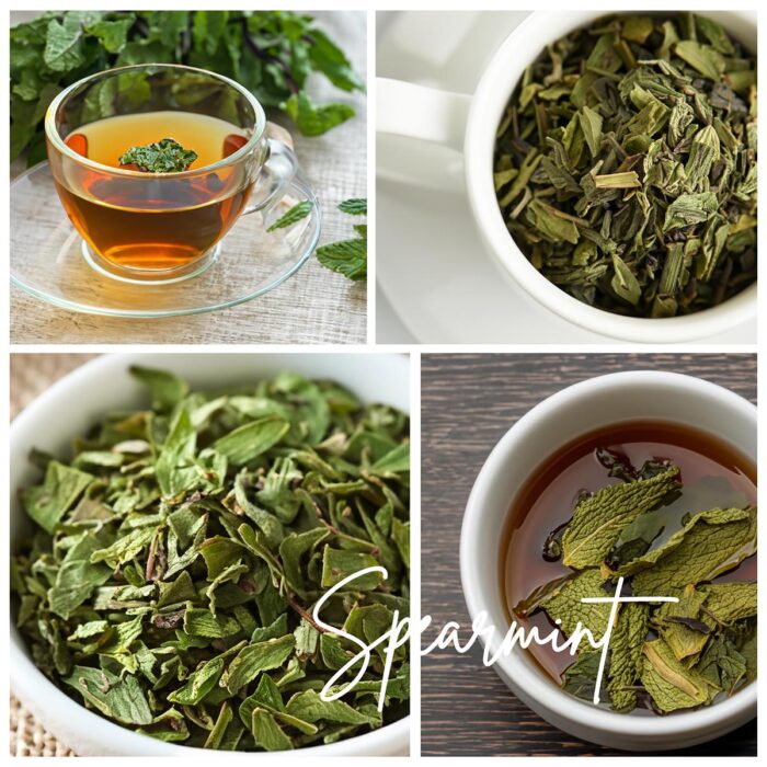 100% Organic Wild Spearmint Tea • Lotus Factory