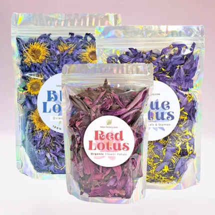 Red Lotus, Whole & Crushed Blue Lotus Set