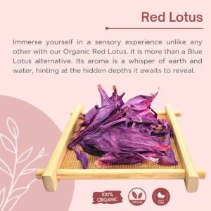Buy Organic Blue Lotus Flowers, Tea & Powder | US Shipping | Lotus Factory Organic Red Lotus Crushed Flowers