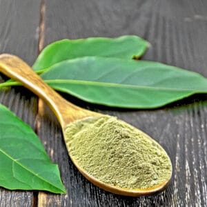 Avocado Powder