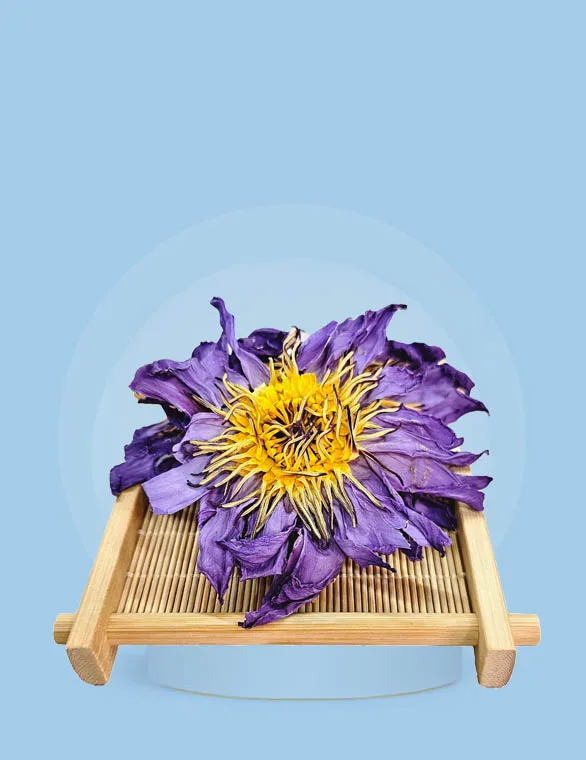 Buy Organic Blue Lotus Flowers, Tea & Powder | US Shipping | Lotus Factory Blue Lotus Whole Flowers