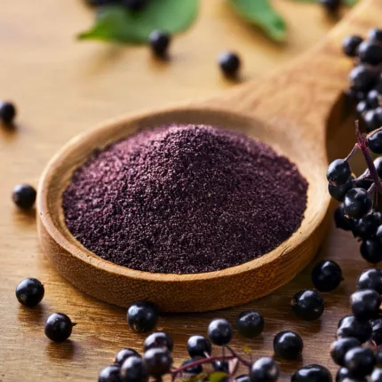 Elderberry Powder