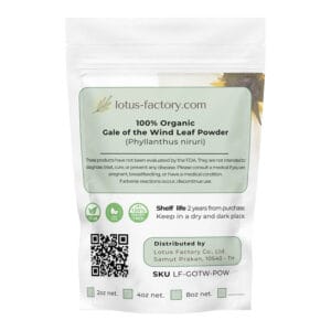 Gale Of The Wind Powder