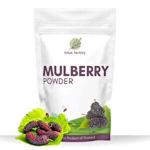 Mulberry Powder