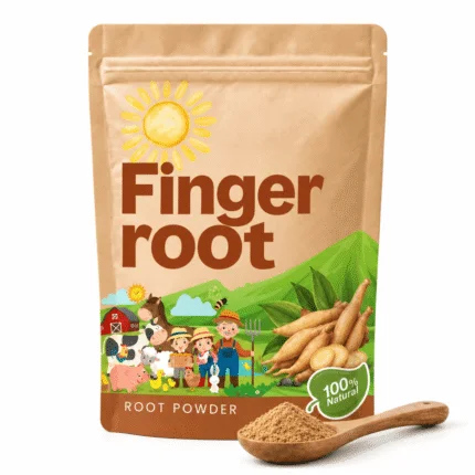 Fingerroot Powder