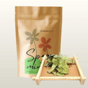 Organic Wild Spearmint Tea