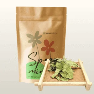 Organic Wild Spearmint Tea