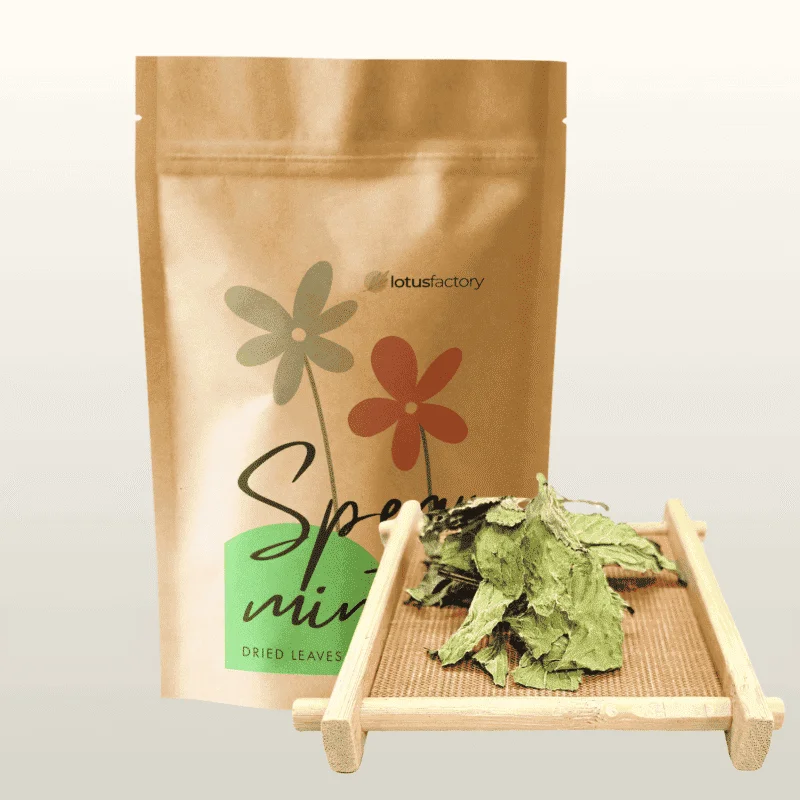 Organic Wild Spearmint Tea
