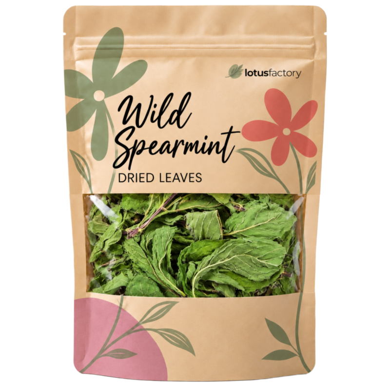 Organic Wild Spearmint Tea